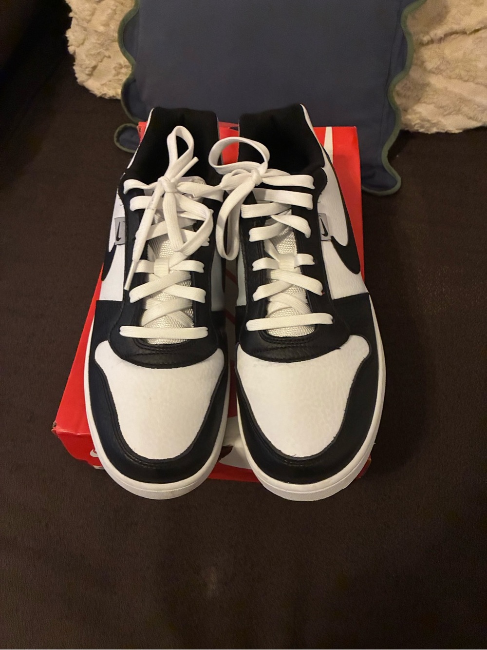 Nike Men’s Ebernon low